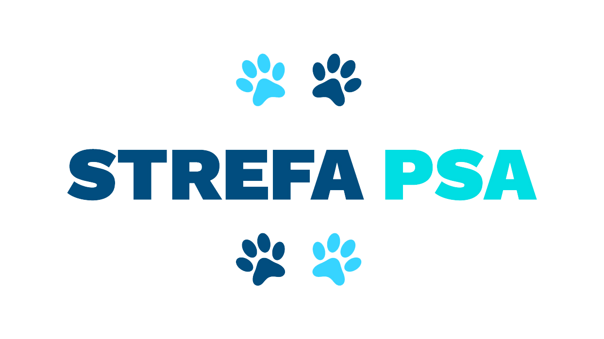 Magdalena Świątkowska Behawiorysta COAPE | Strefa Psa